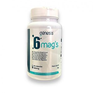 BIG6-mags-60-caps1.jpg