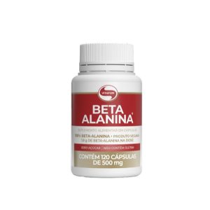 BIGbeta-alanina-120-capsulas-vitafor2.jpg