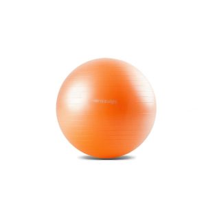 BIGbola-de-exercicios-55cm.jpg